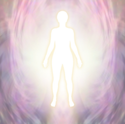 Bildschirmfoto 2025-12-03 um 22.00.12